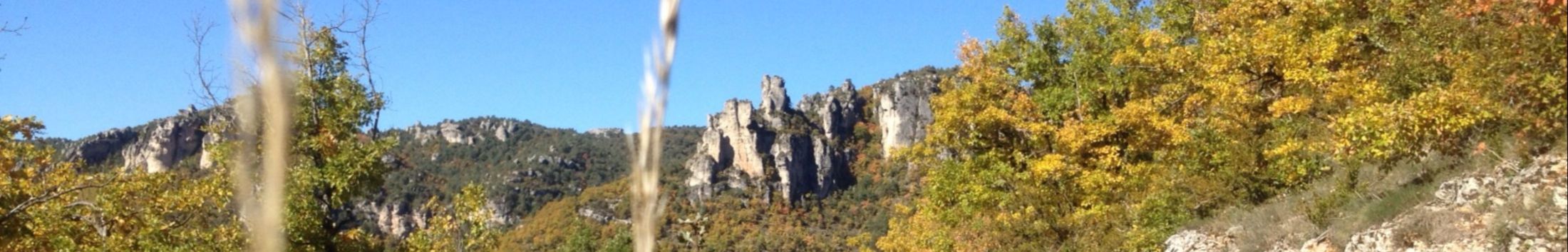 millau